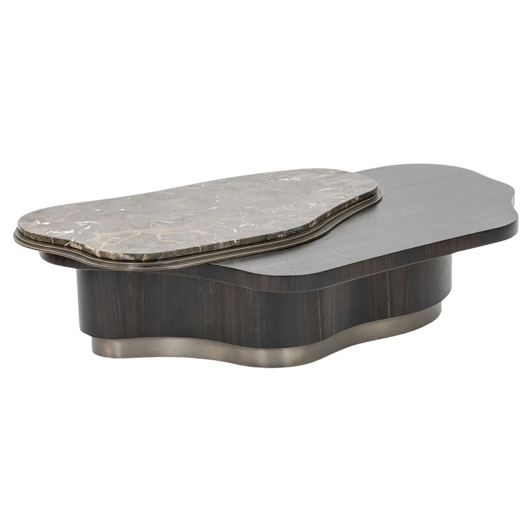 Amorphous Ebony Coffee Table with Layered Tops In Brass And Marble