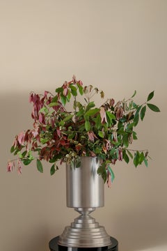 Amphora Maxi Vase in Brushed Aluminum by CASPAL