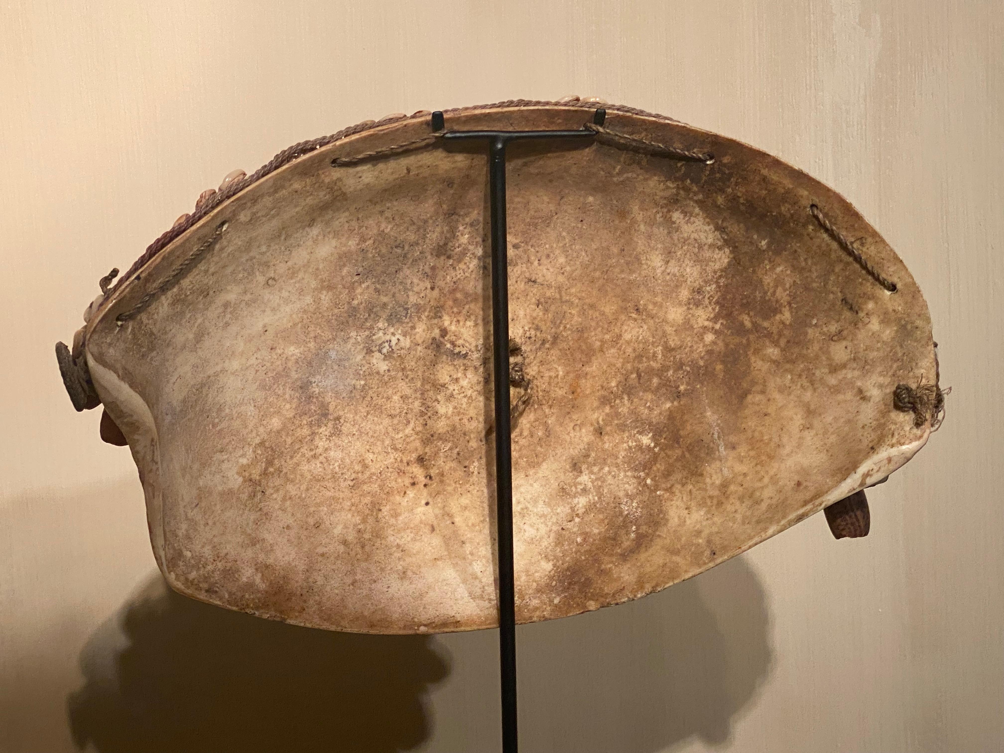 Amulet aus Papua-Neuguinea (Muschel) im Angebot