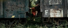 Mapa Ferroviario 00007: Naturalistic Archival Pigment Print, 2010-