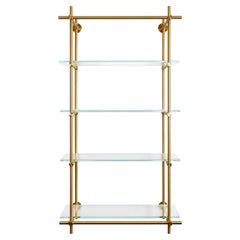 Amuneal's Brass + Glass Collector's Shelving