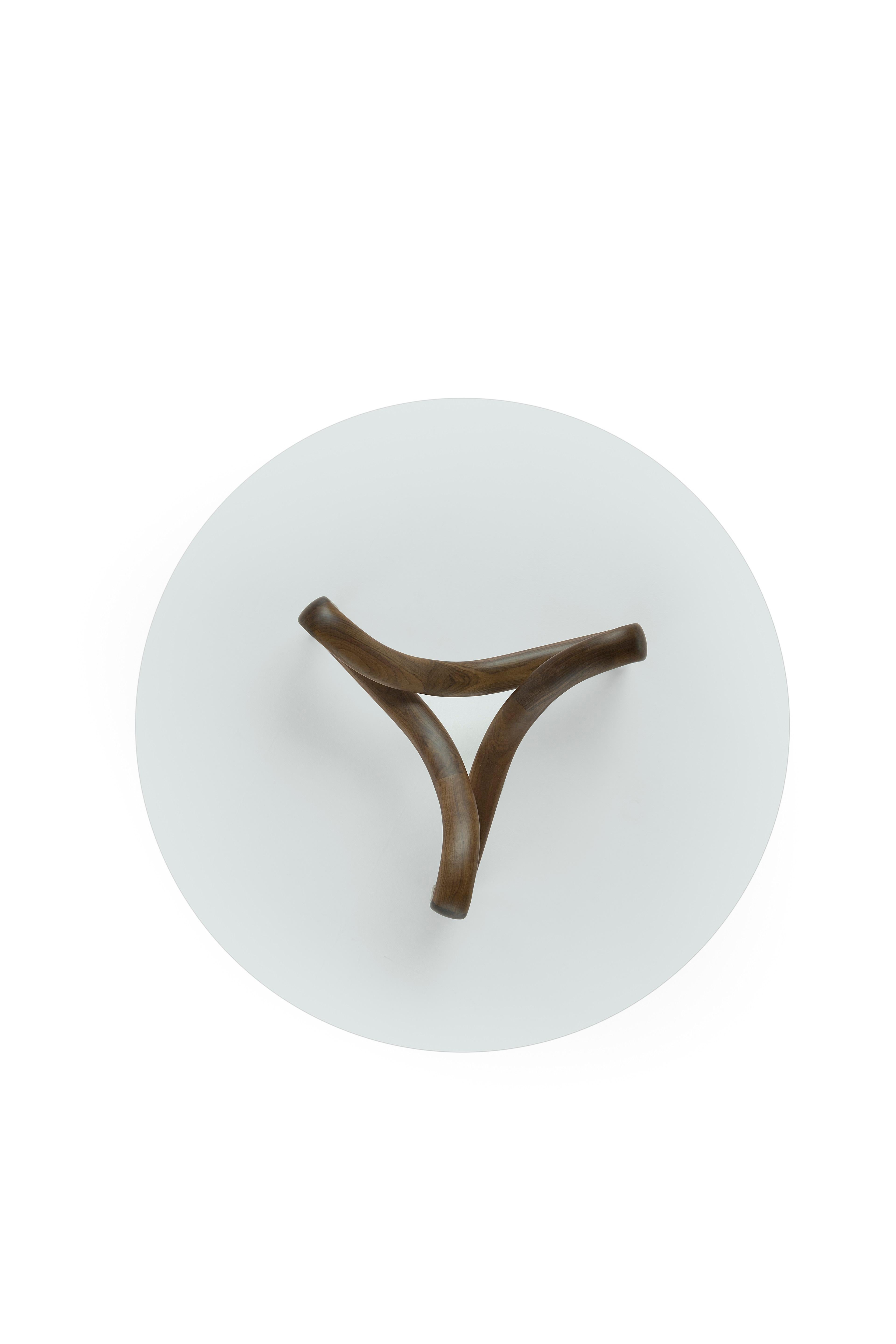 Modern Amura 'Twister' Dining Table in Grey Glass and Dark Oak by Stefano Bigi For Sale