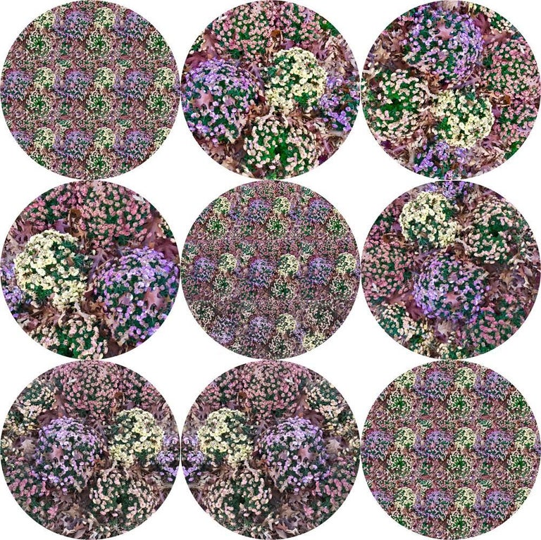 Flora 1 Abstract Digital Art Contemporary Color Design Art And Photography