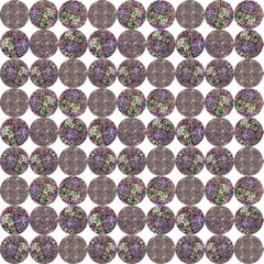 A Muse Flora 3 Abstract Digital Art Contemporary Color