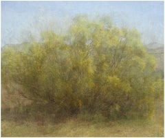 Quattordici anni di condanna al braccio della morte (Ratama Tree) 40 x 60 In, 2009-2016