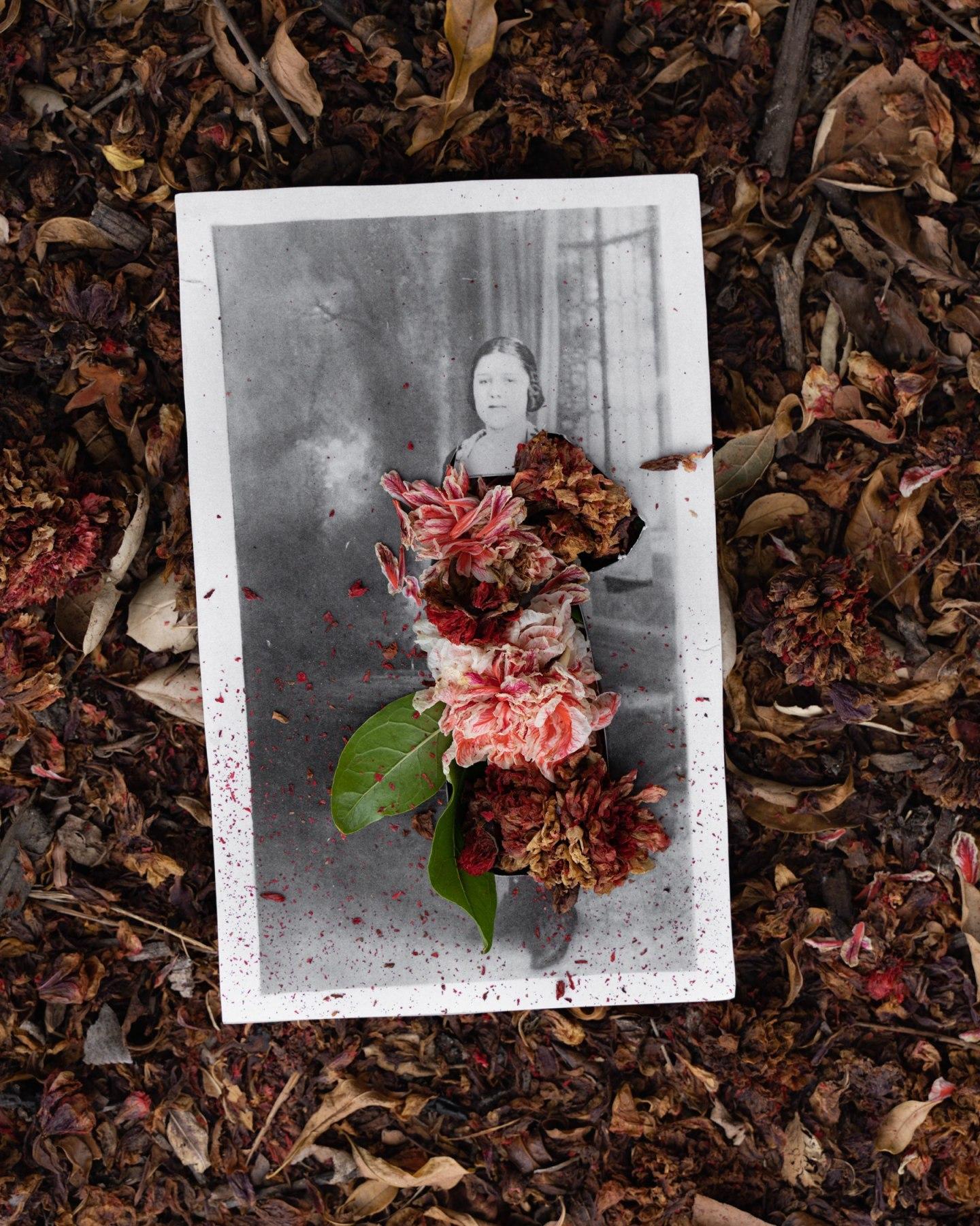 Black and White Photograph di Amy Elkins - Akuuragna / Pasadena (Fiori di melograno ornamentali) Fotografia 16×20 In, 2023
