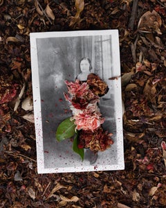 Akuuragna / Pasadena (Ornamentale Granatapfelblüten) Fotografie 16×20 In, 2023