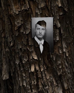 Akuuragna / Pasadena (Willow Oak Bark) Fotografie von Amy Elkins 16×20 In, 2023
