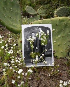 Lompo / Lompoc, La Purisima (Popcorn Flower, Prickly Pear) 24 × 20 Inch, 2023