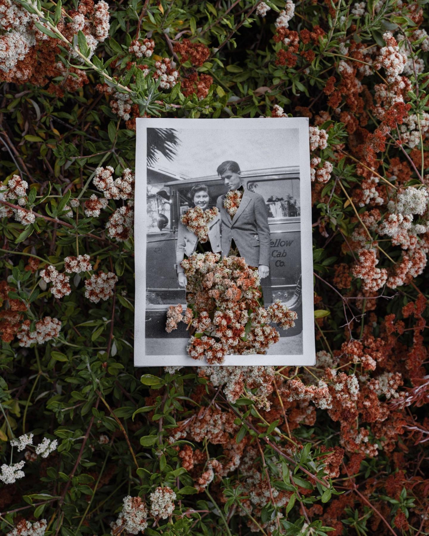 Black and White Photograph di Amy Elkins - Road to Alaxuluxen, Chumash Painted Cave State Fotografia 16×20 pollici, 2023