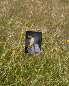 Šahuču / Solvang, Mission Ines (Coast Fiddleneck) Fotografia 16×20 Pollici, 2023