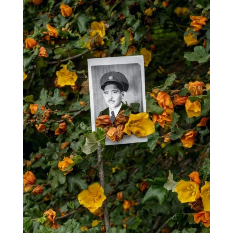 Black and White Photograph di Amy Elkins - Xana'yan / Santa Barbara Foothills (California Flannelbush) Fotografia 16×20 In