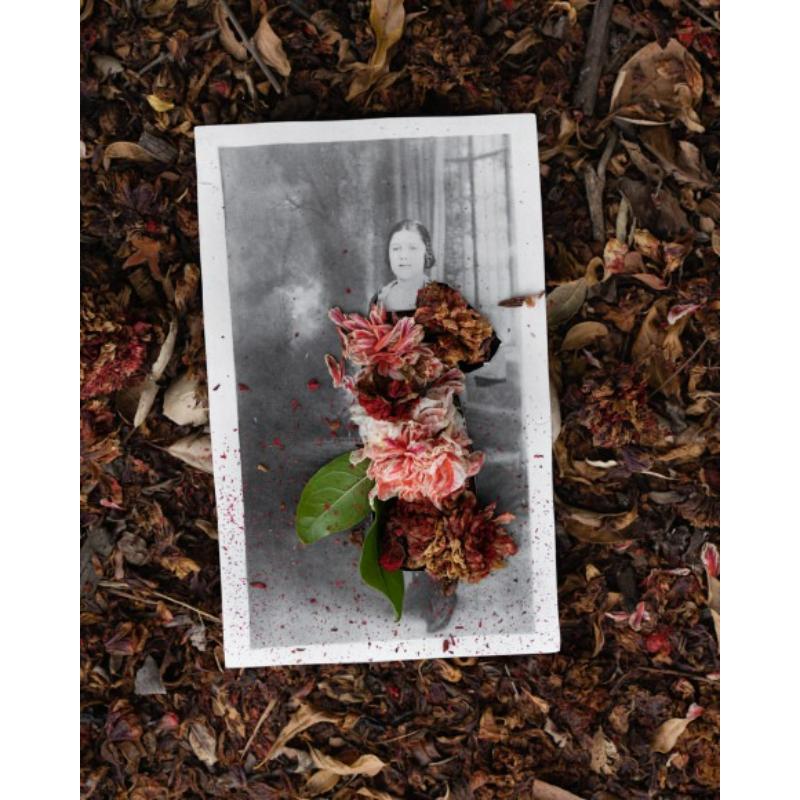 Black and White Photograph di Amy Elkins - Xana'yan / Santa Barbara Foothills (Elderberry) Fotografia 24×20 In, 2023