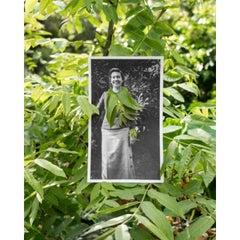Xana'yan / Santa Barbara Foothills (Sumac) Photographie 16 × 20 In, 2023