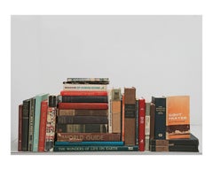 Bibliothèque fictive 20 x 24 pouces, 2009-2016