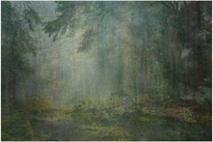 Neuf ans après une condamnation à mort (forêt) 40 x 60 pouces, 2009-2016