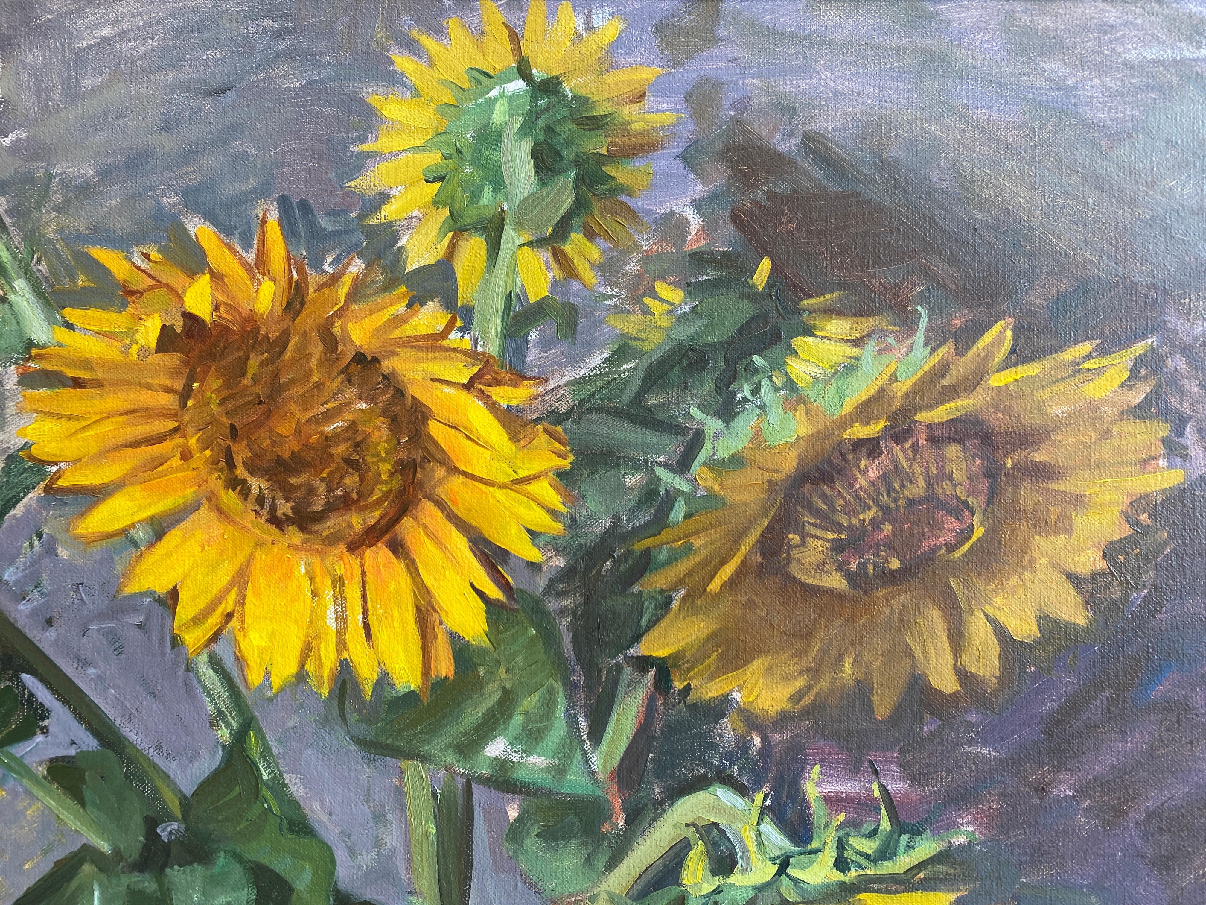 Sunflowers For Sale 3