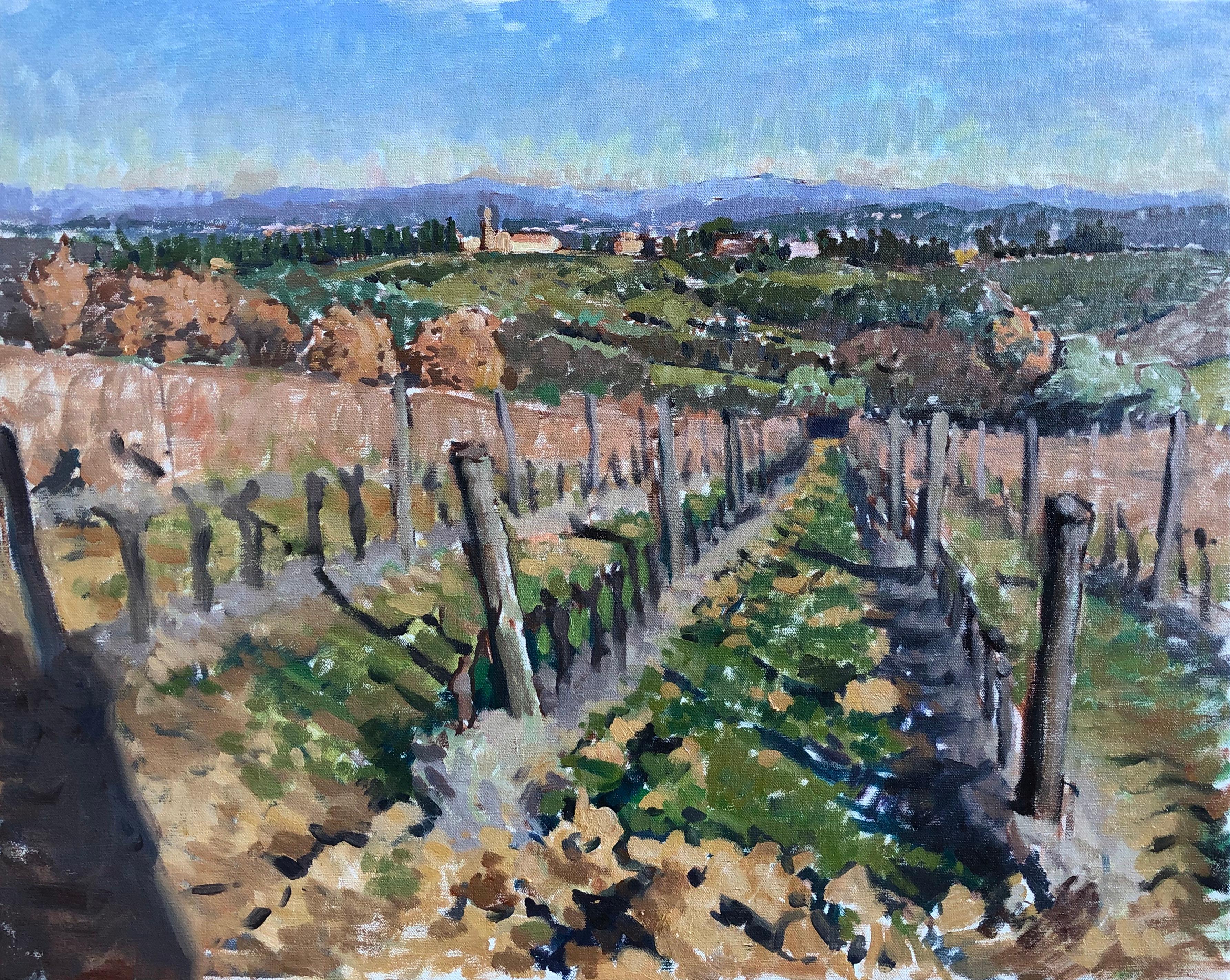 "Vines in Noce" 2020 oil painting, vineyard landscape Tuscany, Italy framed