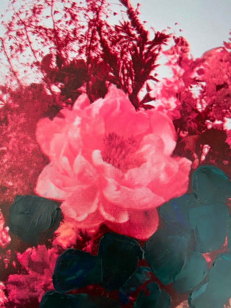 Gnade zur Blüte – Print von Amy Gardner