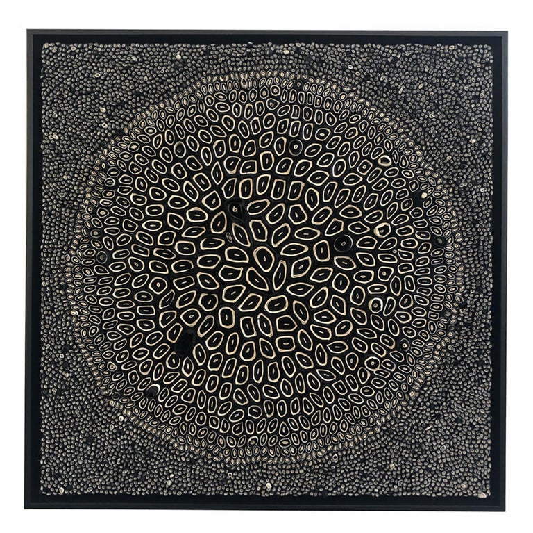 Amy Genser - Black and White Square #12 For Sale at 1stDibs