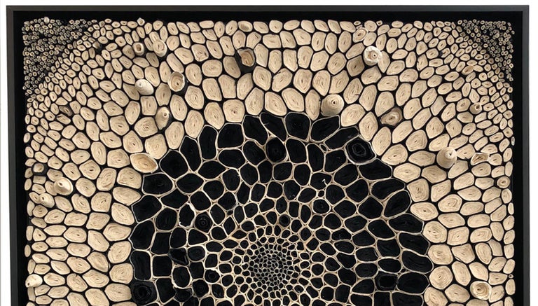 These black and white dimensional paper pieces are by mixed media artist, Amy Genser. These textural, one-of-a-kind framed wall works embody movement and processes. She masterfully manipulates paper -- each piece being cut, rolled and stacked -- to
