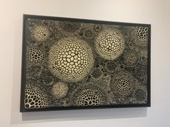 Western Constellation