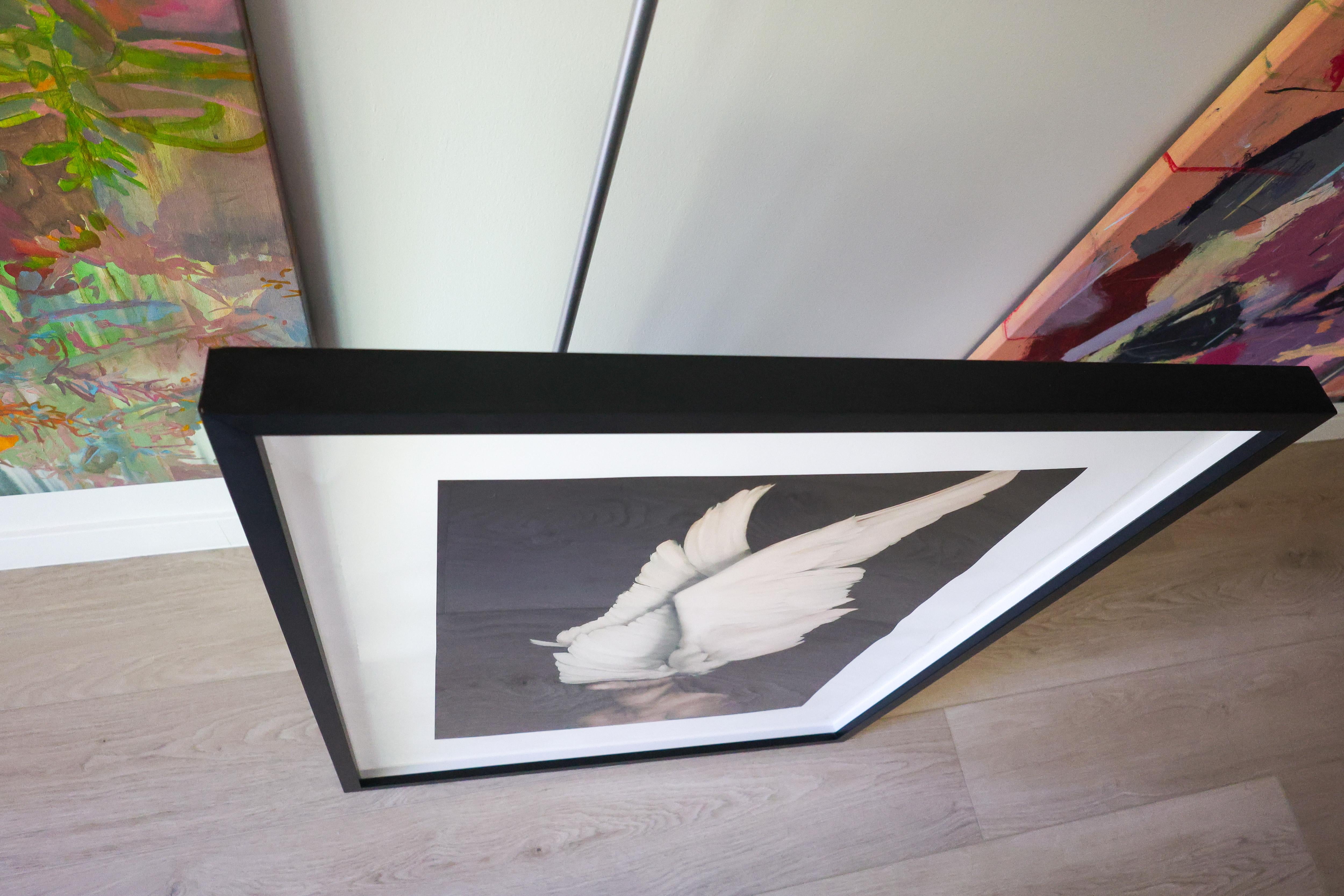 Awakening For Sale 5