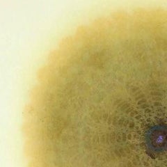 Tirage géométrique abstrait jaune délicat et complexe découpé au laser Revolution XX