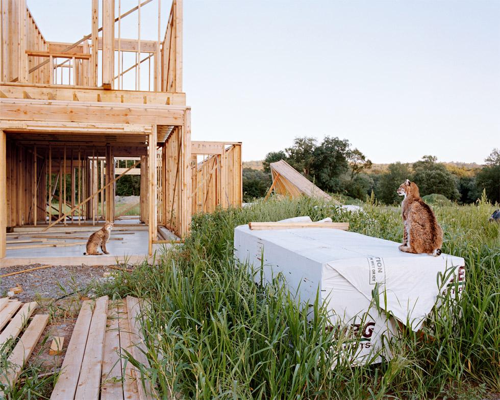 Landscape Photograph Amy Stein - Nouvelles maisons