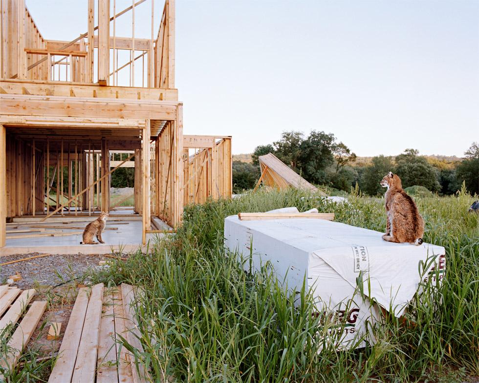 Amy Stein Landscape Photograph - New Homes