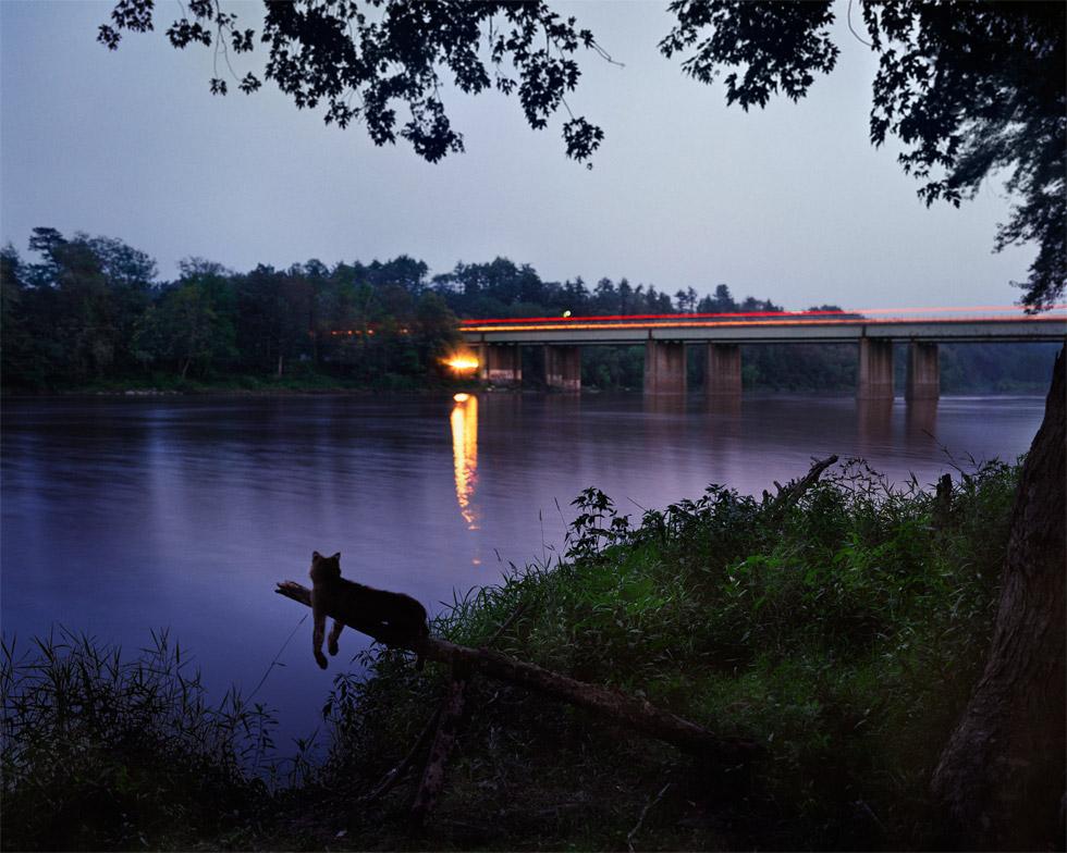 Amy Stein Color Photograph – Riverside
