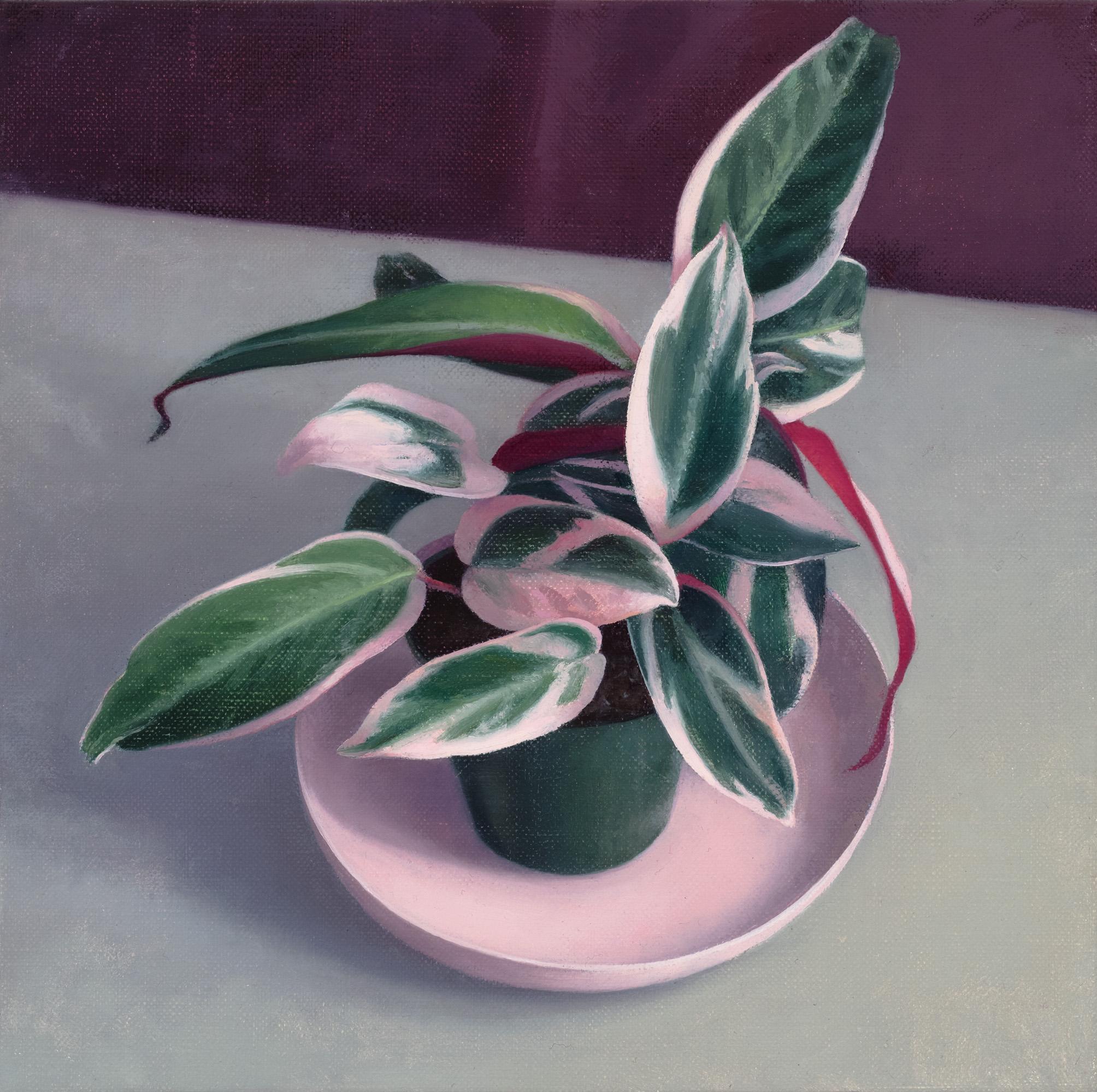 Amy Weiskopf Still-Life Painting - Pink and Green Plant