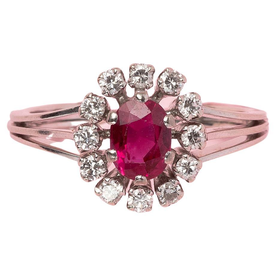 An 14 Carat White Gold Cluster Ring with Burma Ruby and Diamonds  