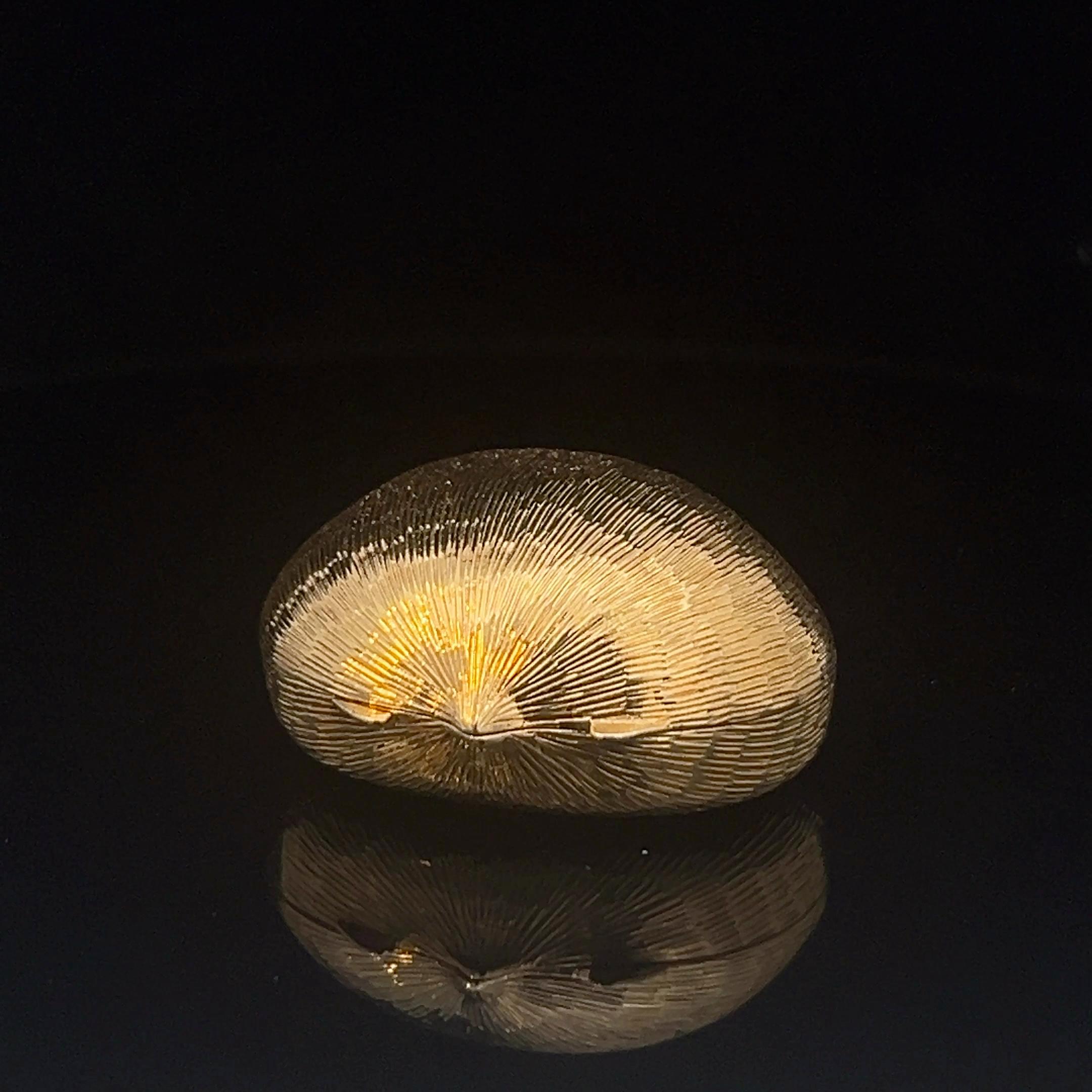 An 18k yellow gold box by Mario Buccellati 9