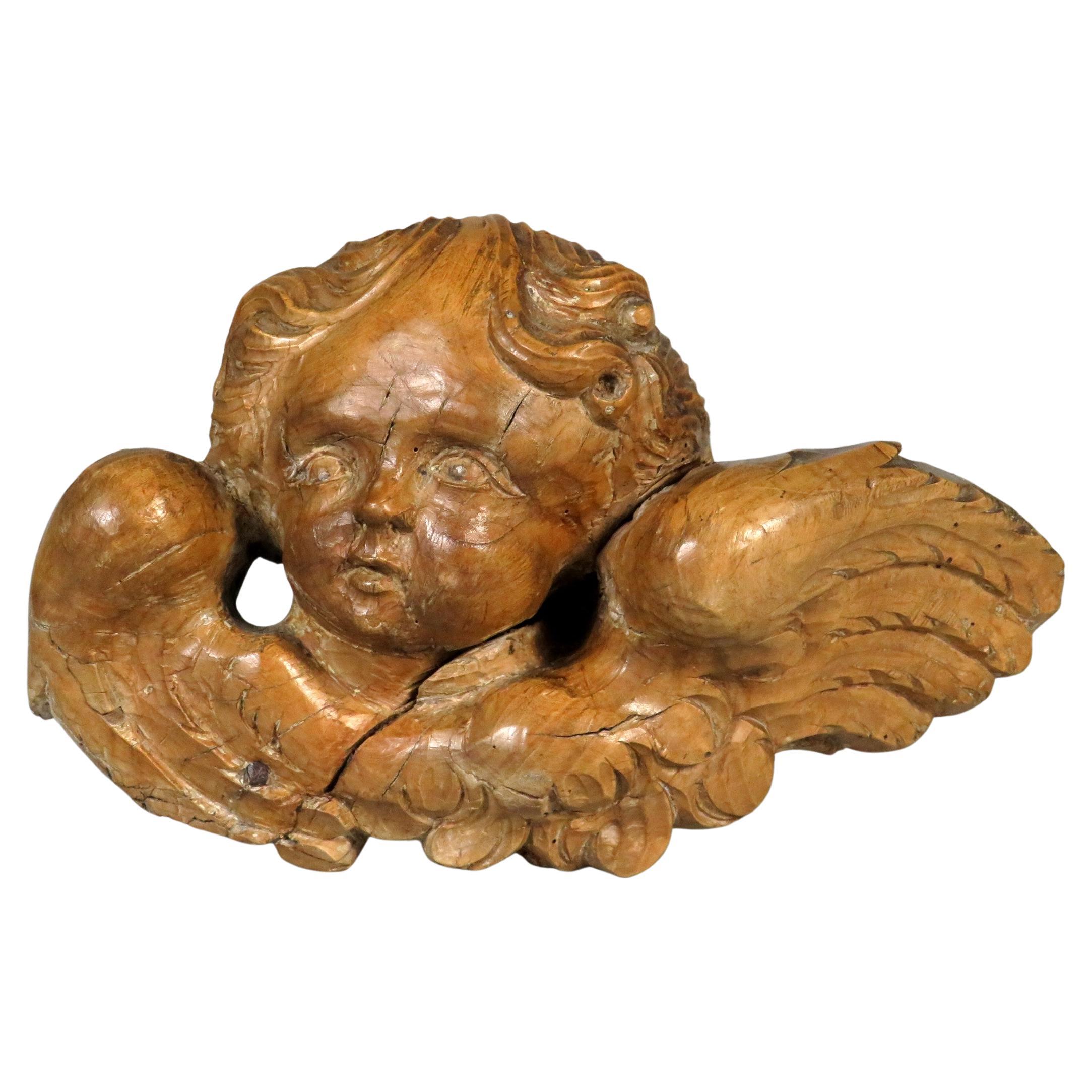 Cherubino intagliato di epoca barocca del XVIII secolo, Continentale, CIRCA 1750