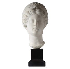 An 18th Century Marble Bust of the Goddess Juno