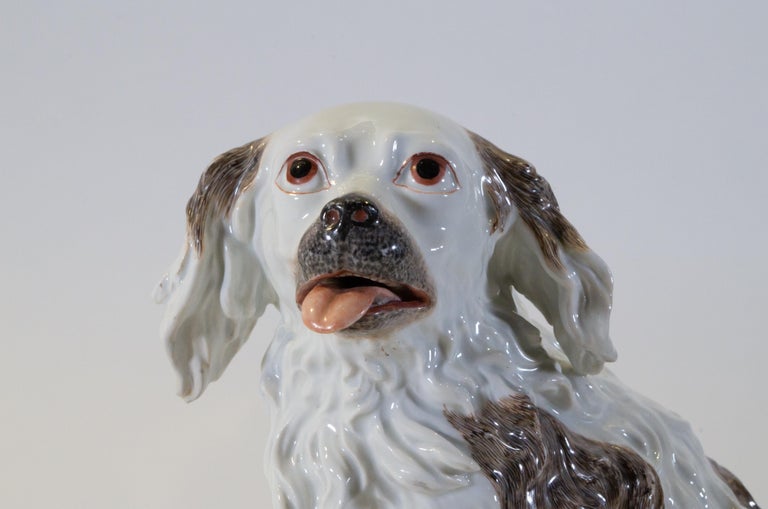 18th Century Meissen Porcelain Model of a King Charles Spaniel, J.J. Kändler In Good Condition For Sale In New York, NY