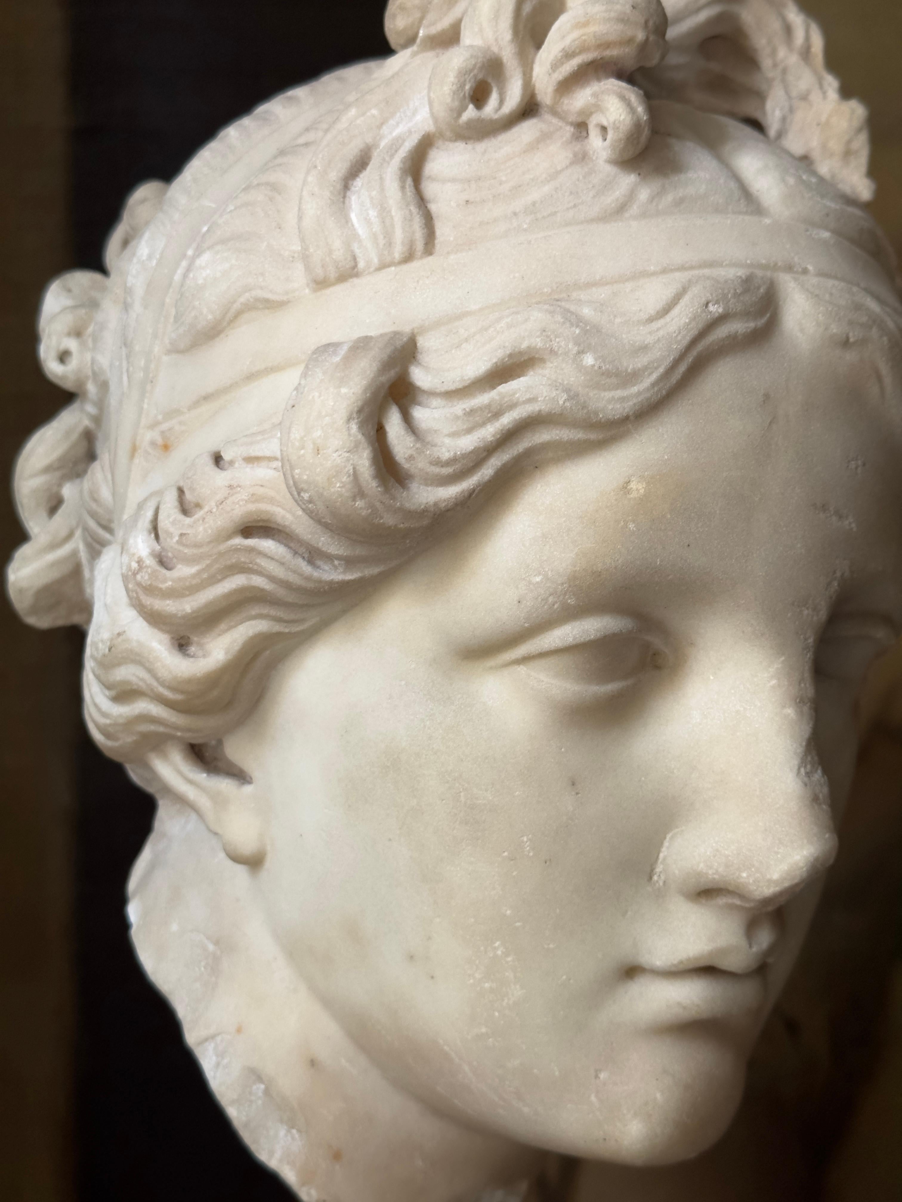 An 18th century or earlier statuary marble head of Venus For Sale 2