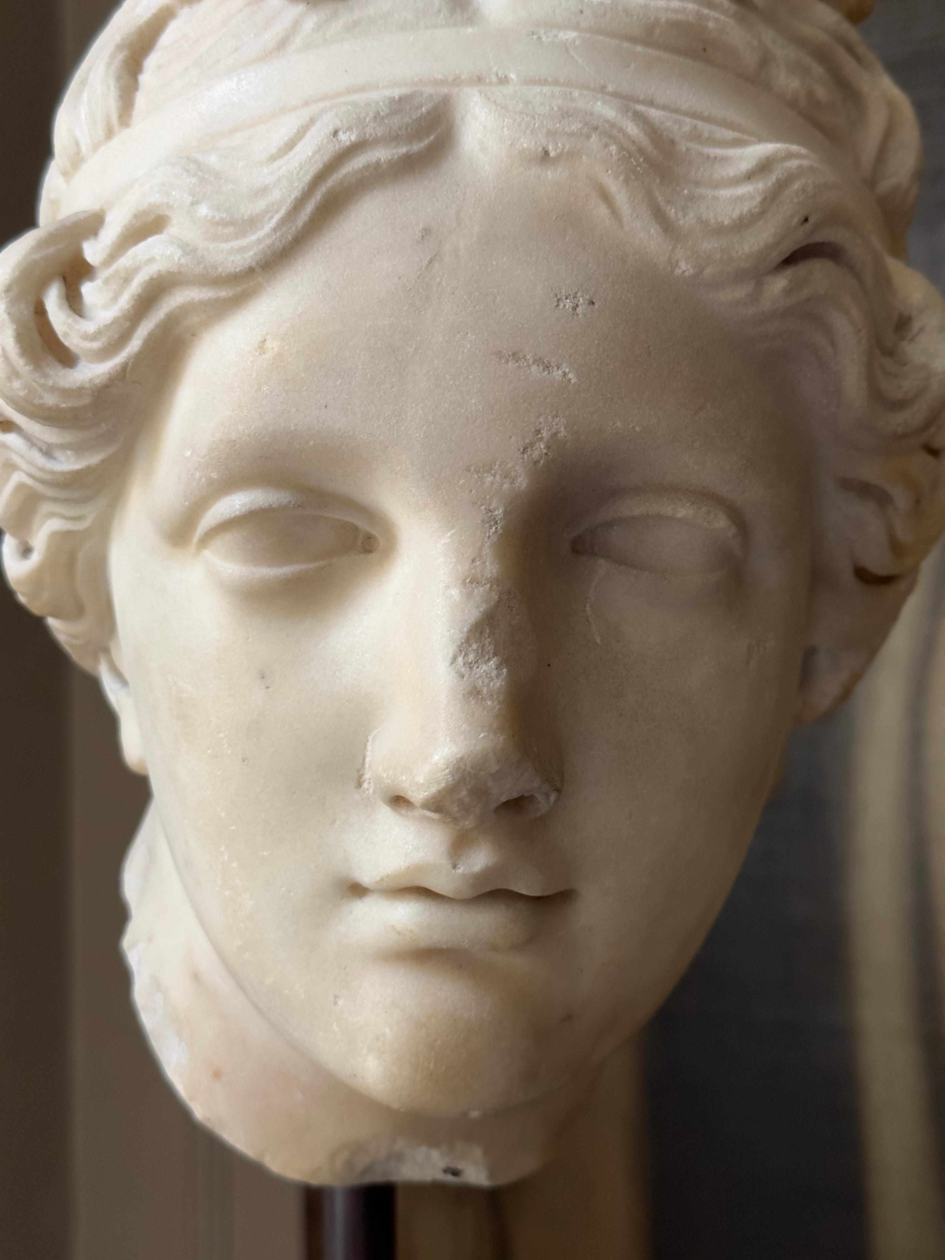 An 18th century or earlier statuary marble head of Venus For Sale 3