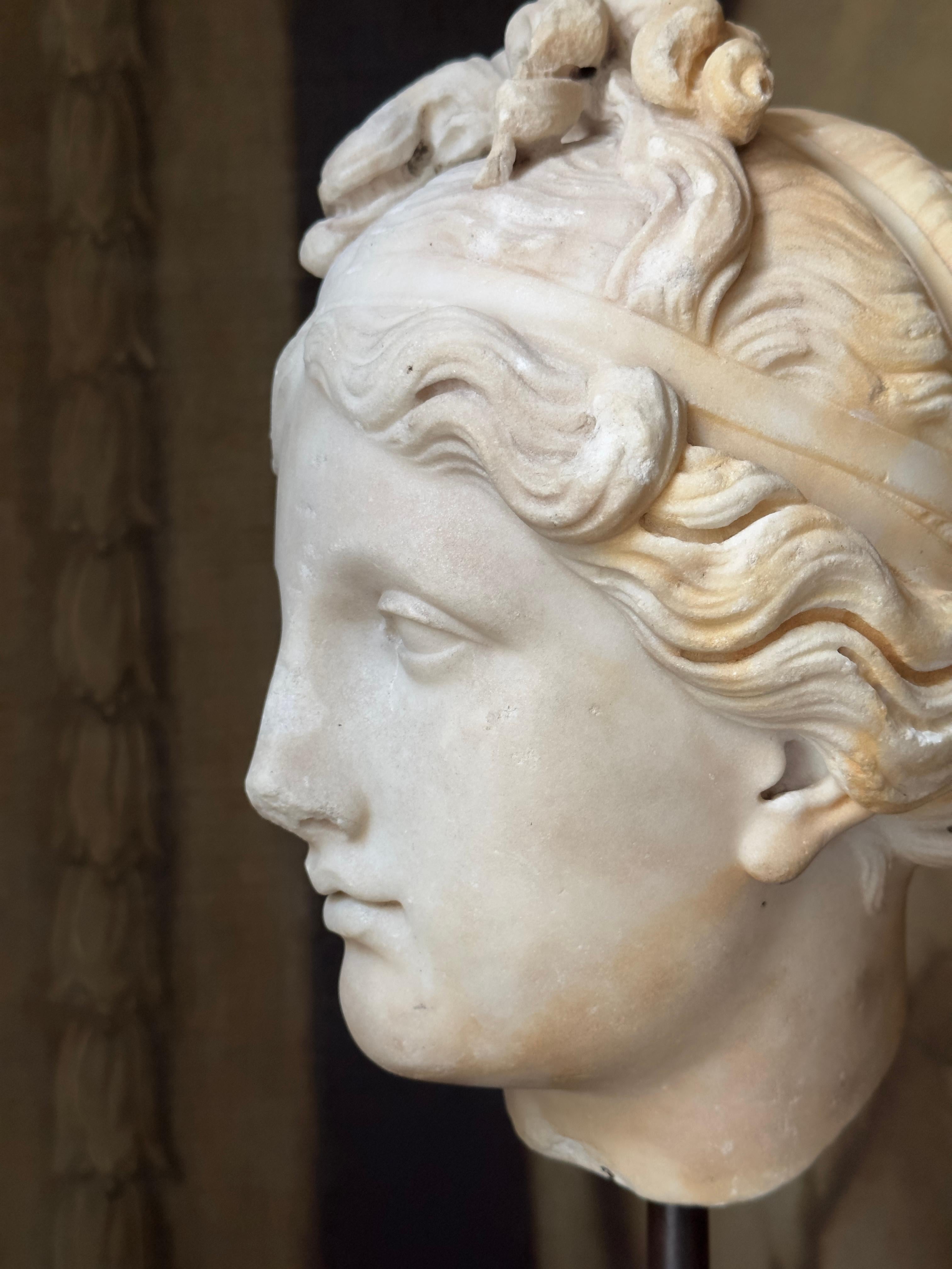 Hand-Carved An 18th century or earlier statuary marble head of Venus For Sale