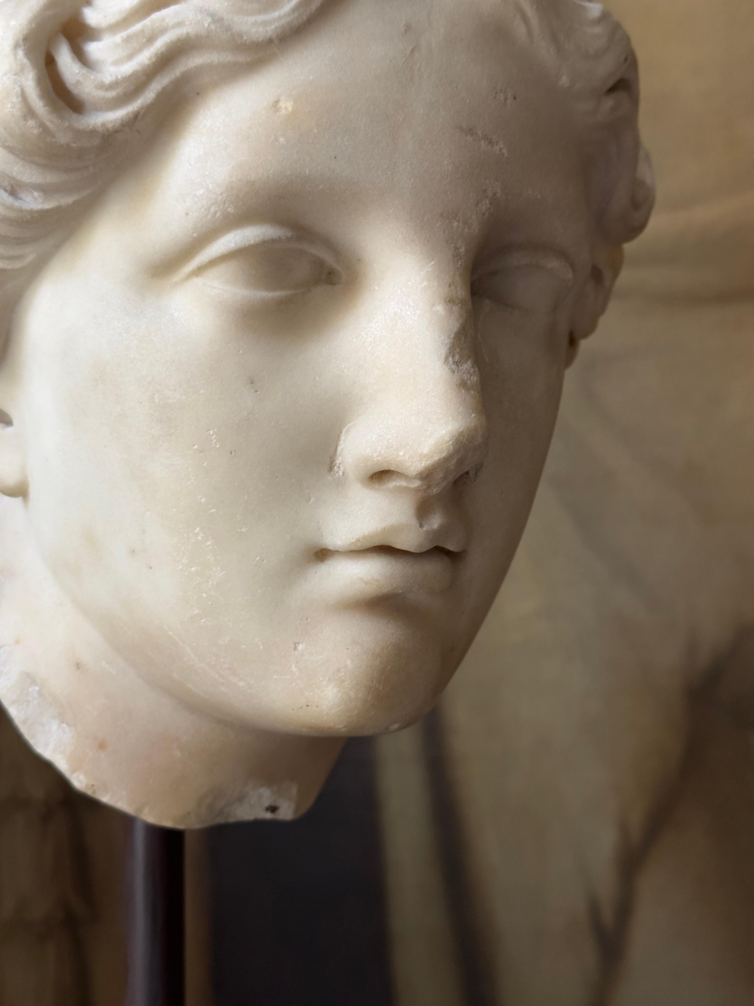 18th Century An 18th century or earlier statuary marble head of Venus For Sale