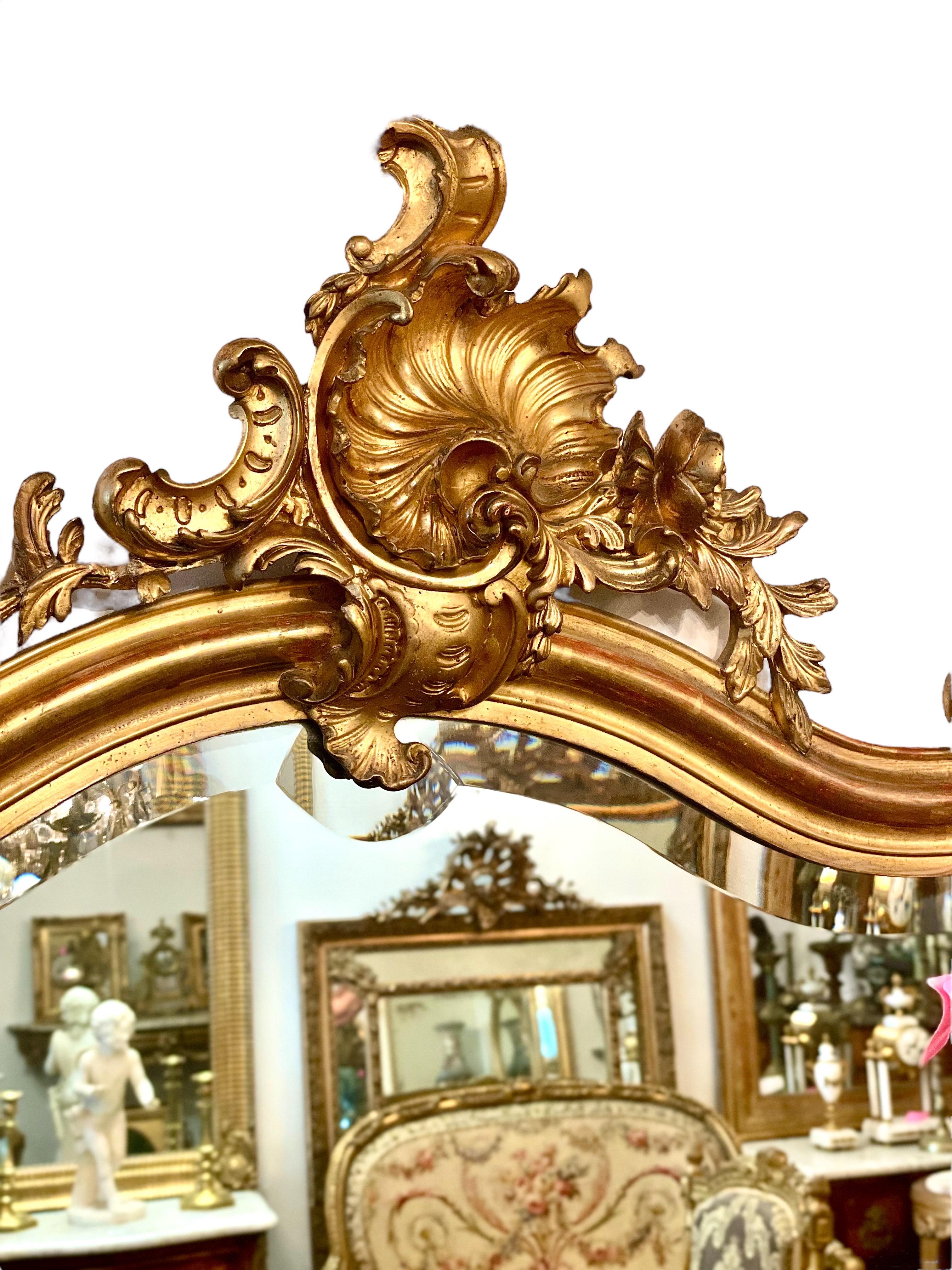 French Louis XV Style Mirror, Gilt and Carved Wood 19th Century For Sale