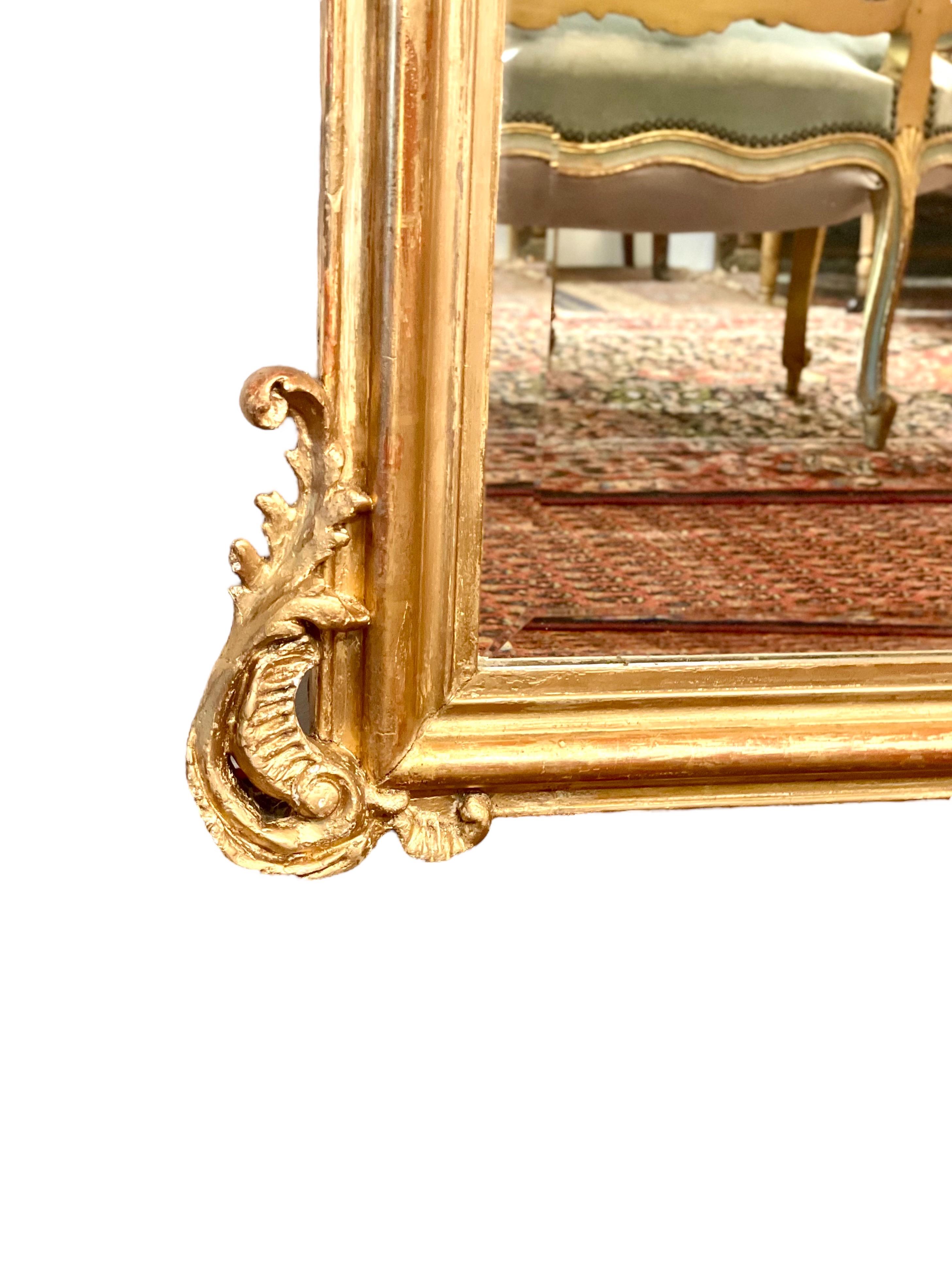 Louis XV Style Mirror, Gilt and Carved Wood 19th Century For Sale 1