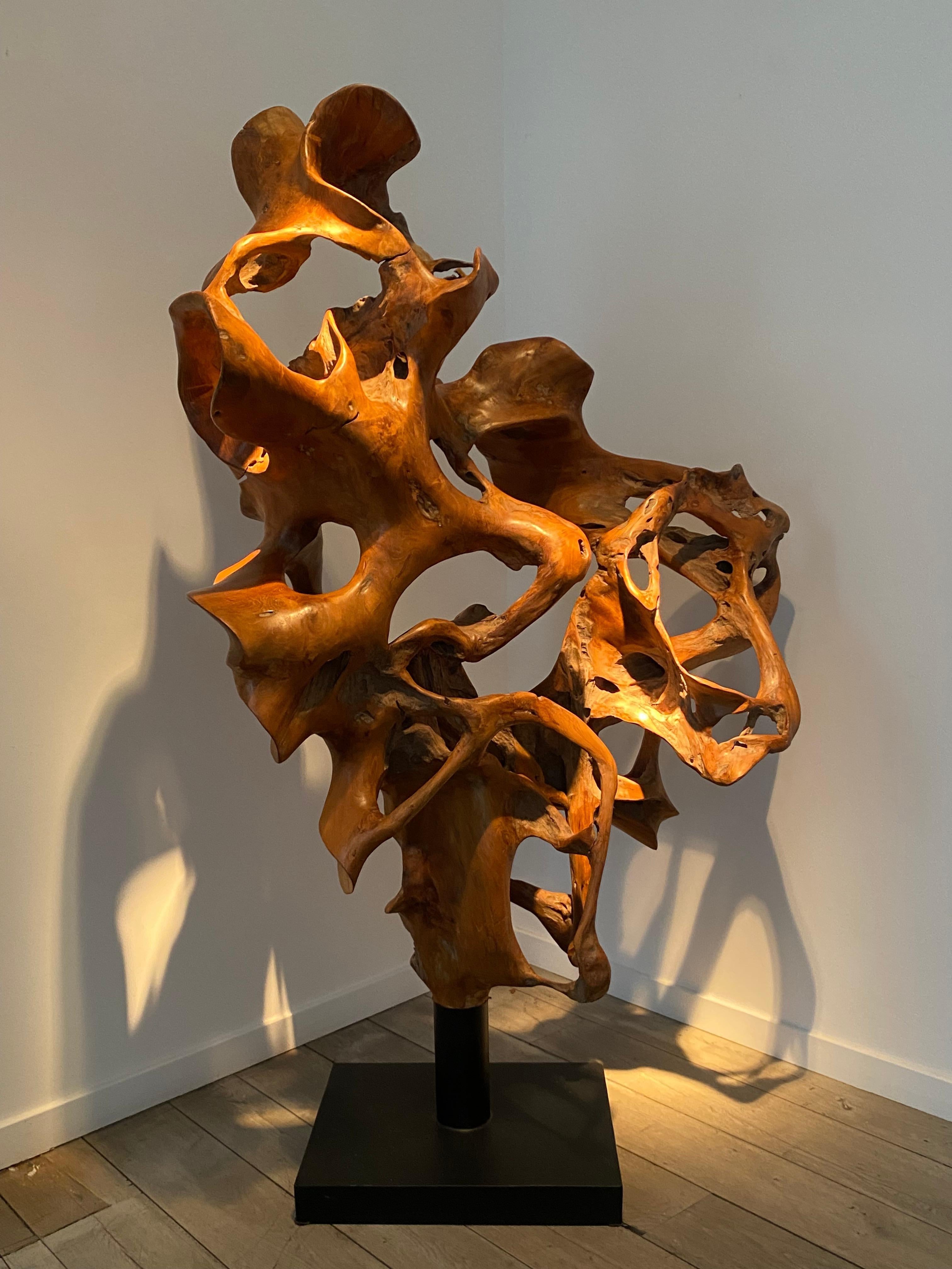 Una scultura contemporanea realizzata con una radice di Teak, composta da un unico pezzo di legno,
grande lucentezza e patina del legno,
astratta e naturale, può essere utilizzata in diversi ambienti della tua casa,
è anche possibile posizionarlo