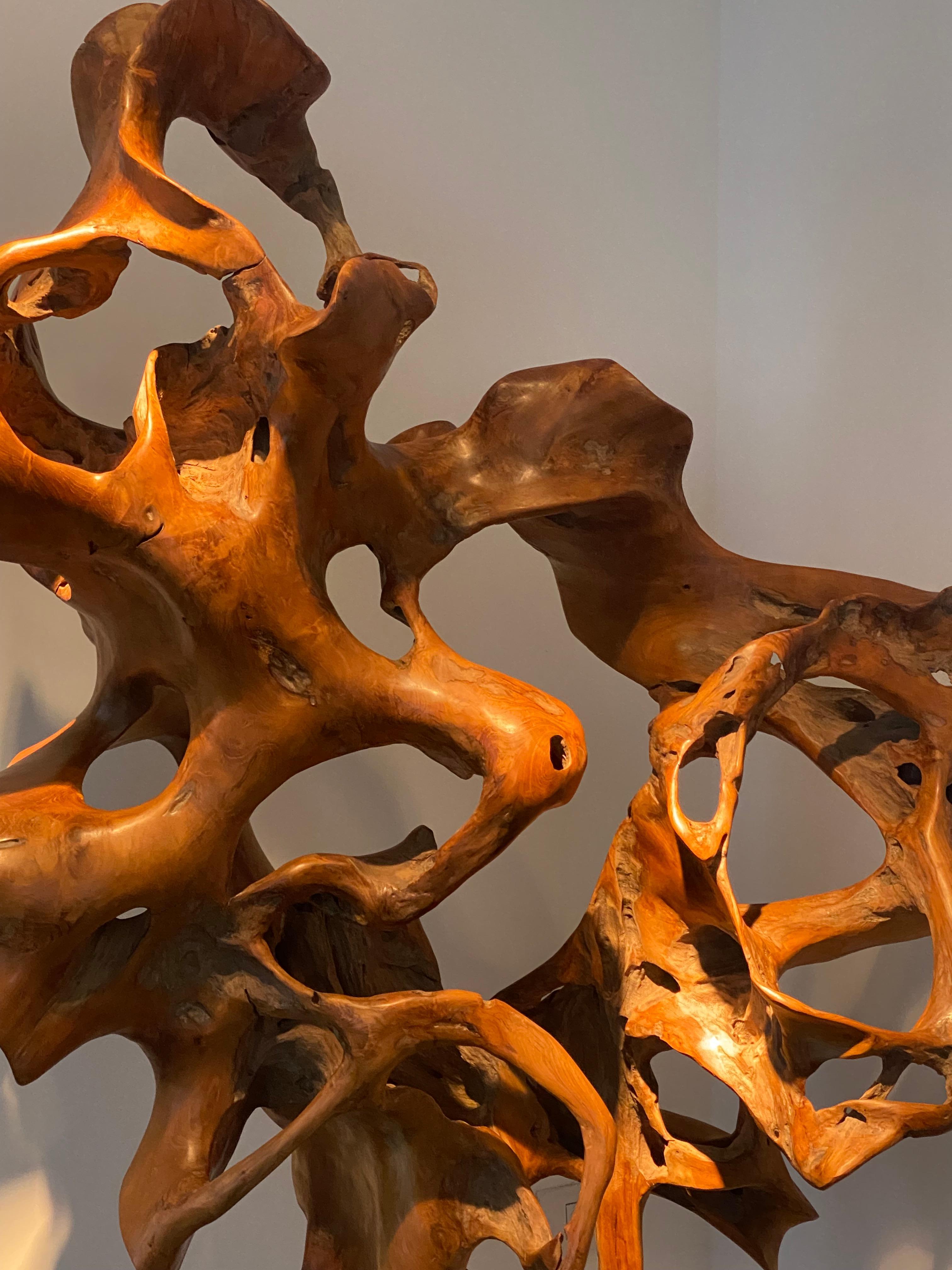 Lucidato Una scultura astratta in legno