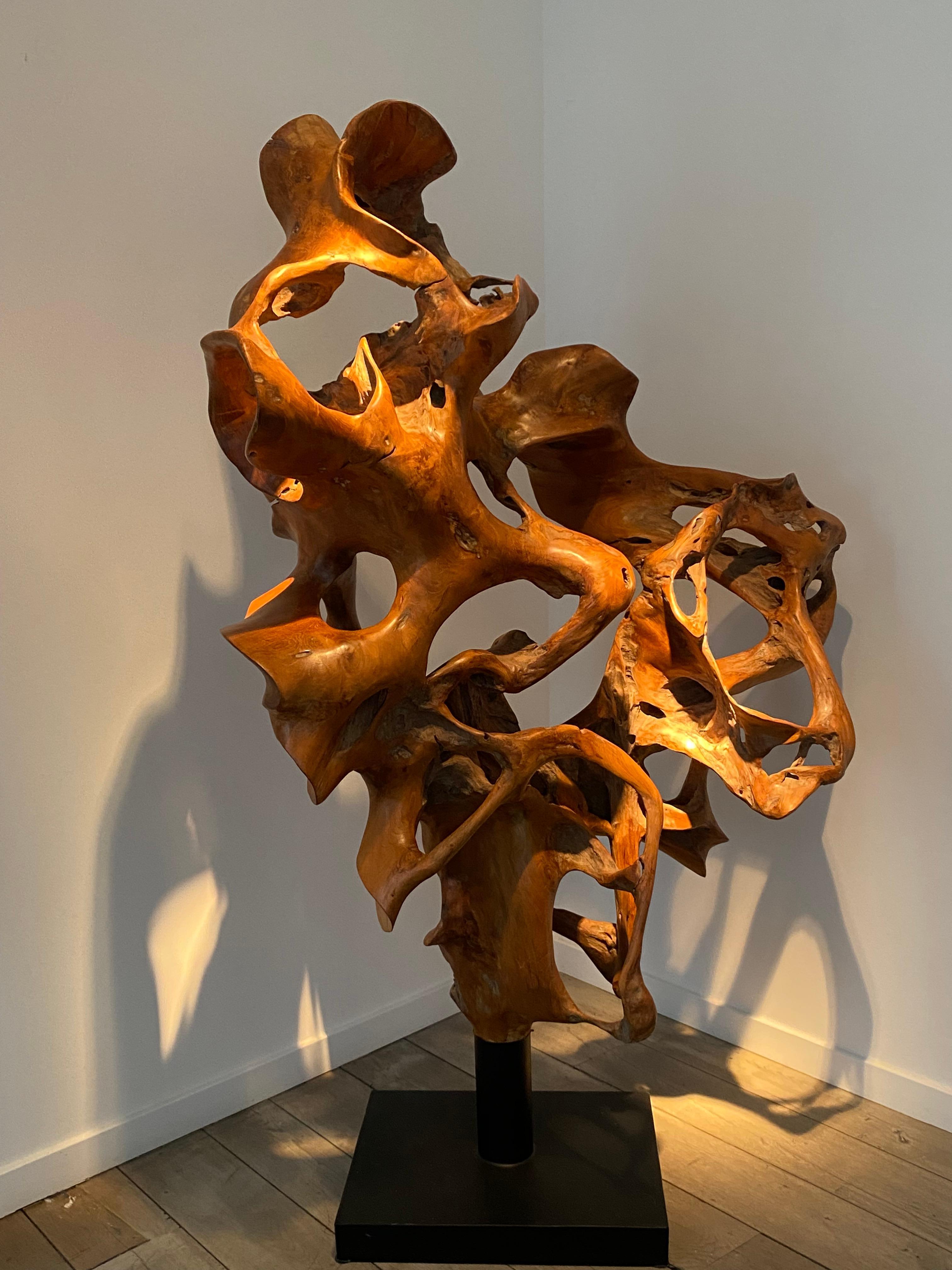 Una scultura astratta in legno In condizioni buone a Schellebelle, BE