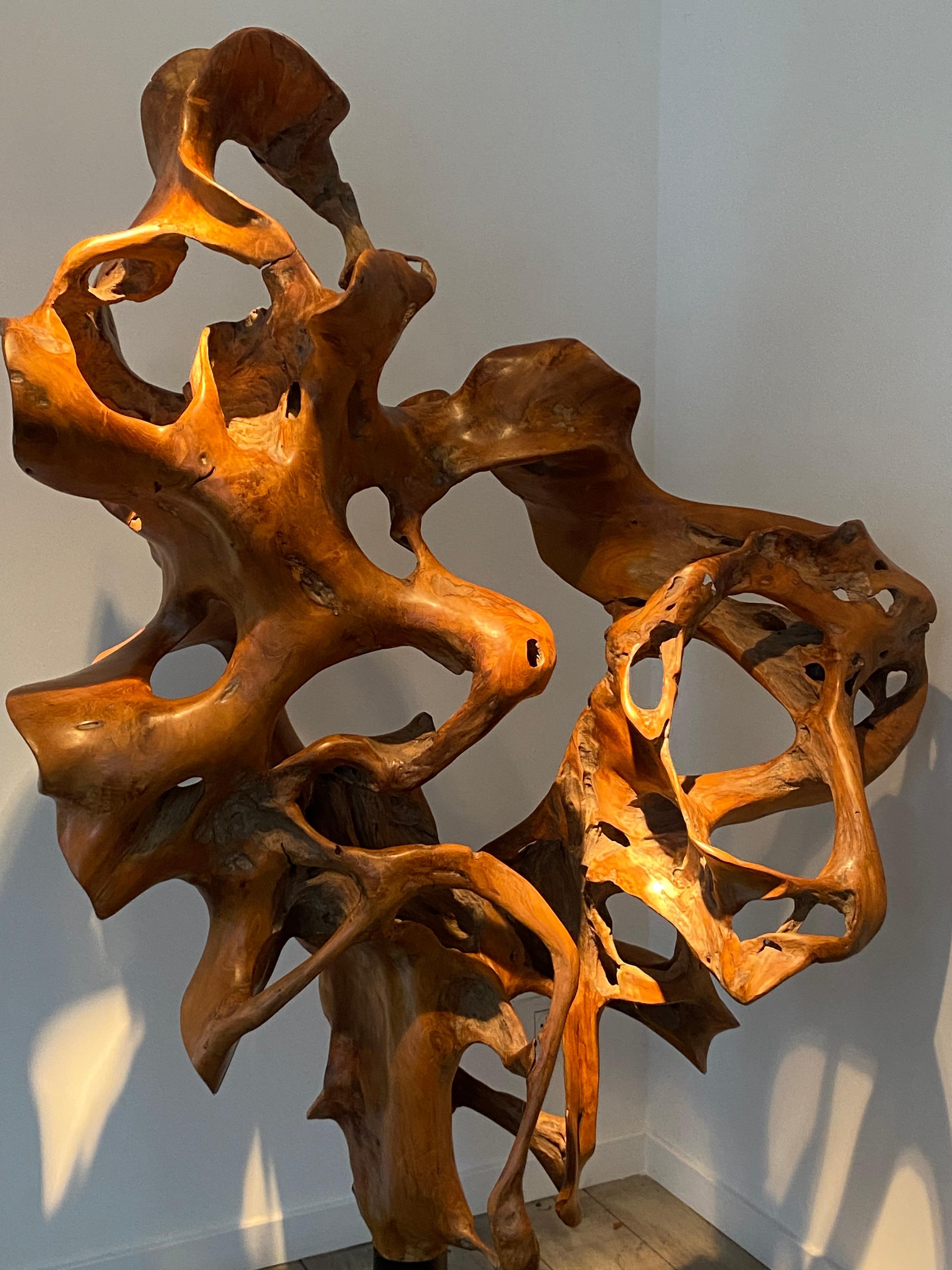 Teak Una scultura astratta in legno