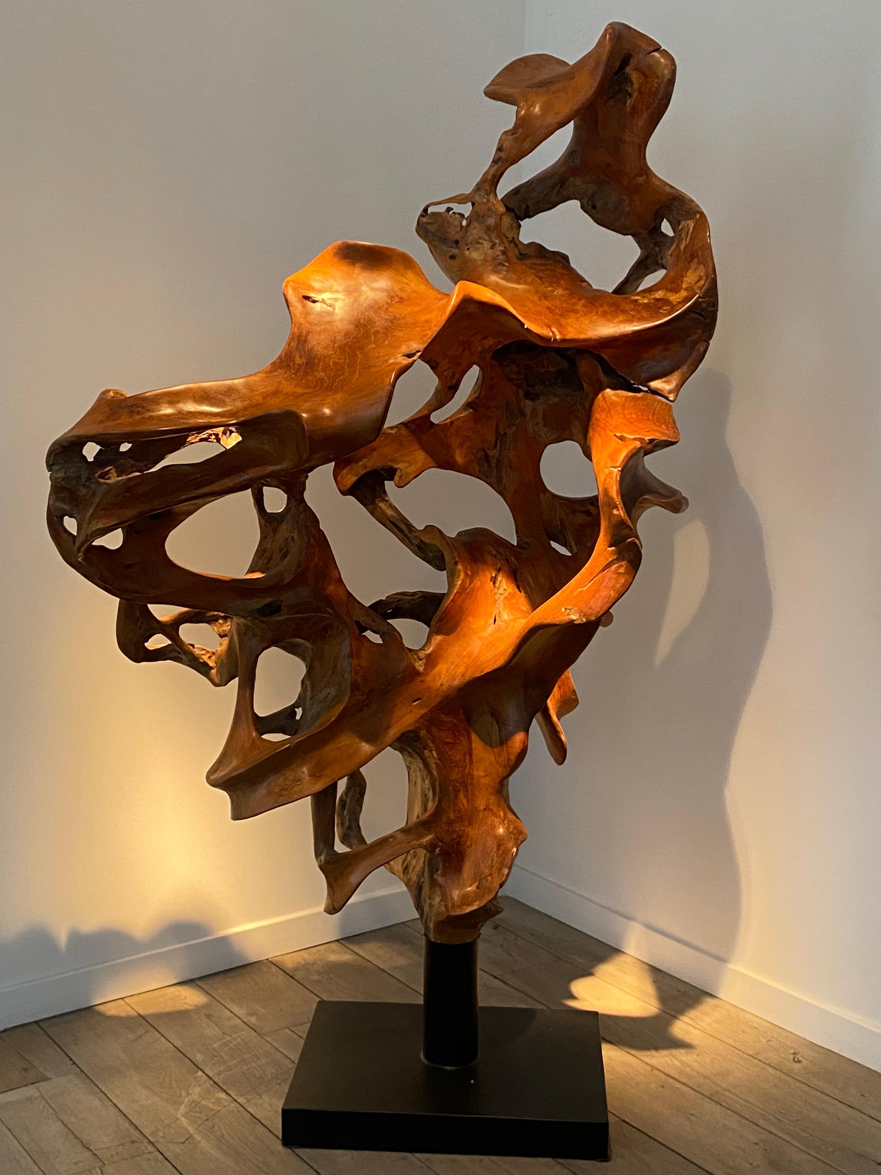 Una scultura astratta in legno 2