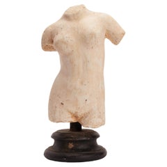 Academic Bust of Venus of Cirene, Italy 1880