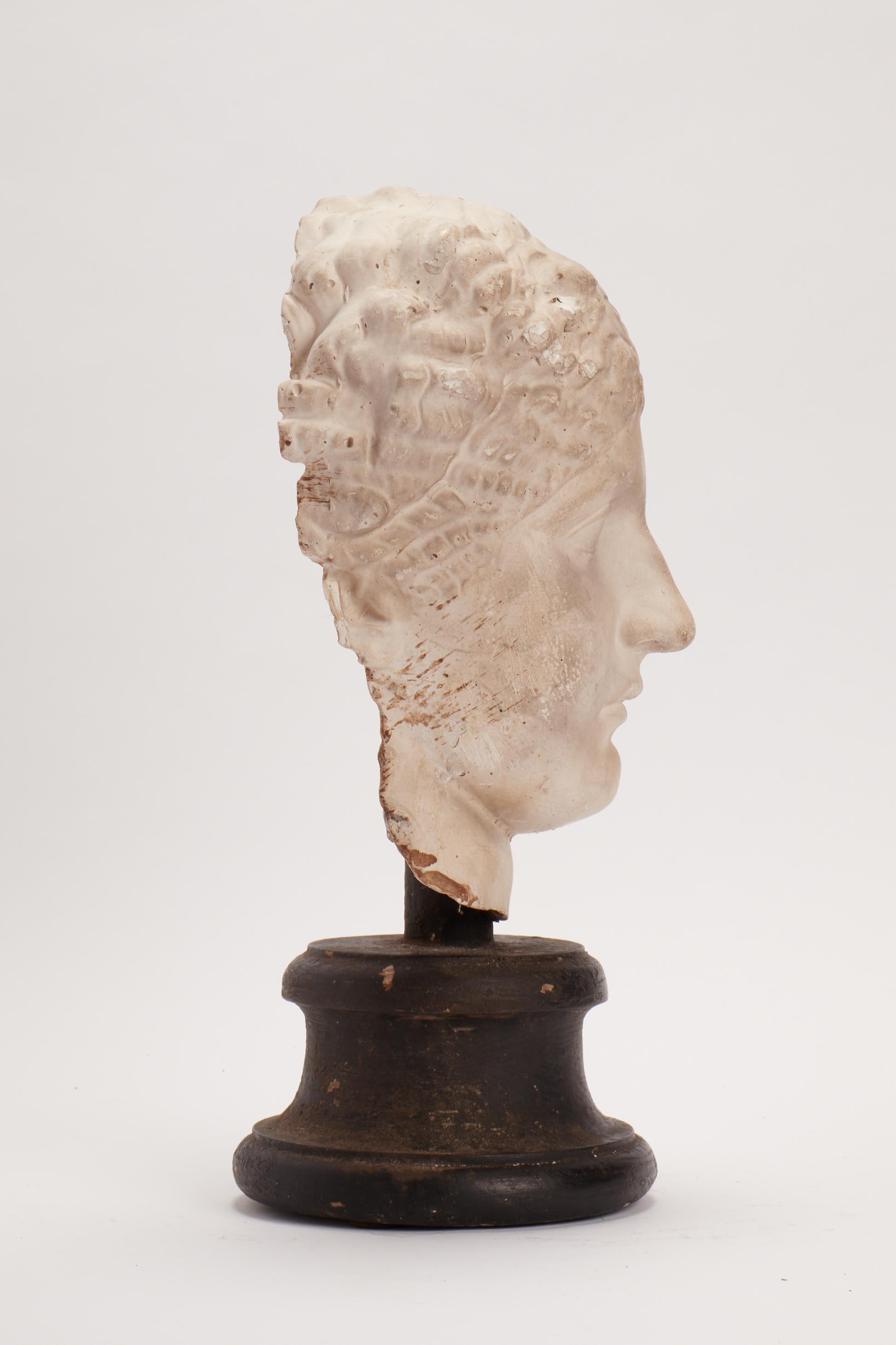 Academic Cast Depicting a Roman Women Head, Italy 1890 In Excellent Condition In Milan, IT